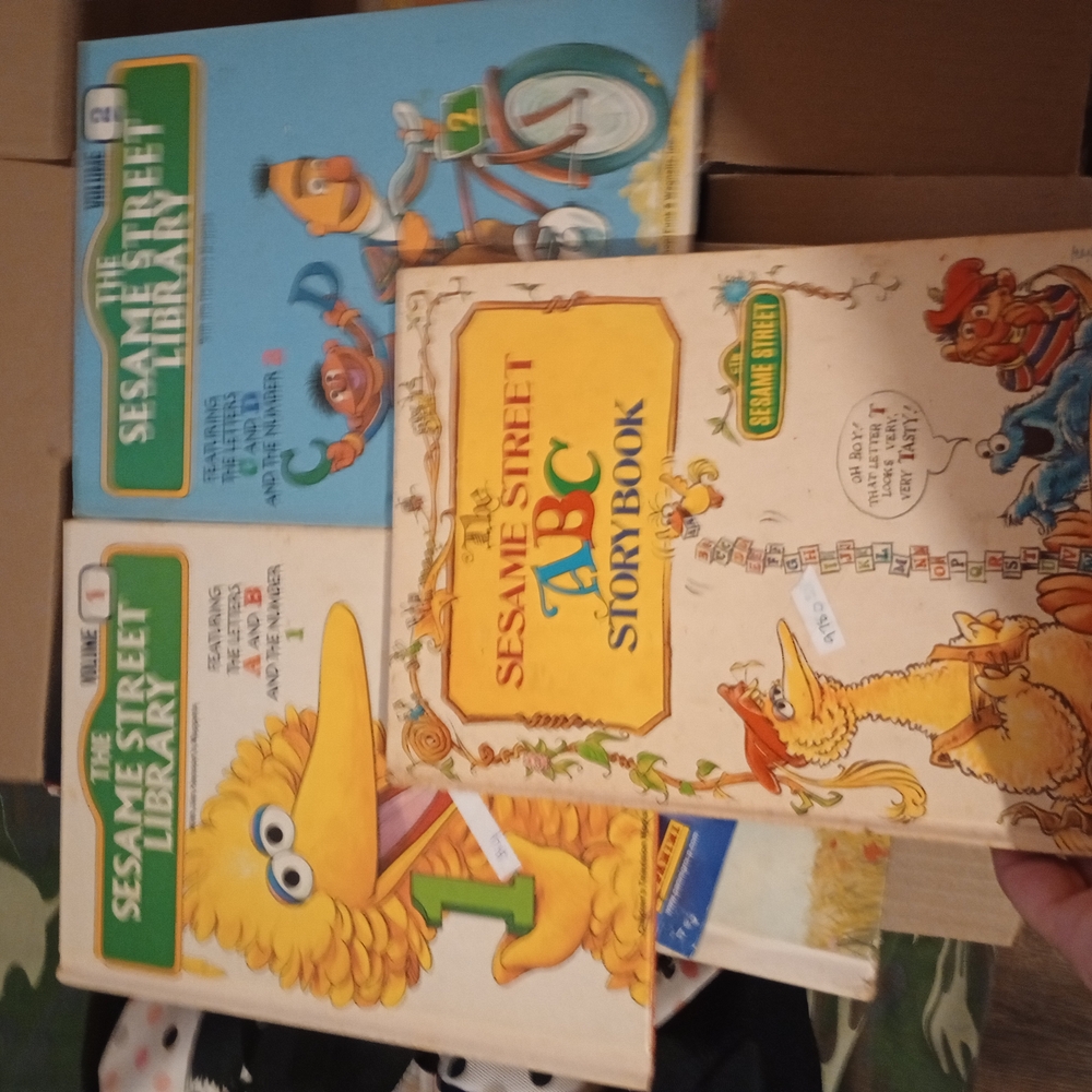 Sesame Street ABC Storybook with Colorful Illustrations